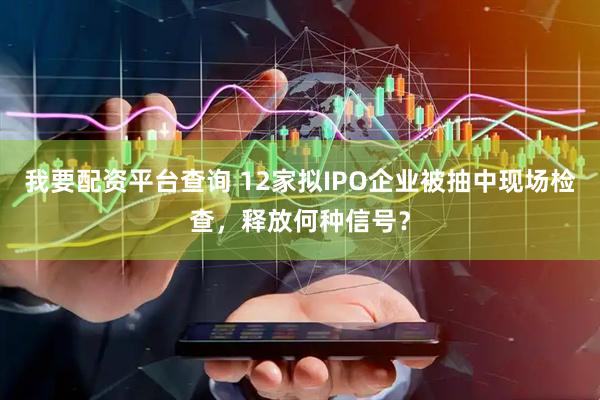 我要配资平台查询 12家拟IPO企业被抽中现场检查，释放何种信号？