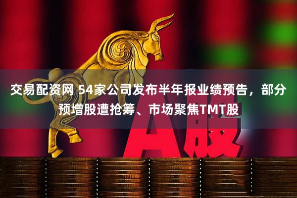 交易配资网 54家公司发布半年报业绩预告，部分预增股遭抢筹、市场聚焦TMT股