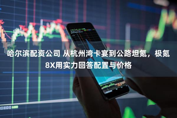 哈尔滨配资公司 从杭州湾卡宴到公路坦氪，极氪8X用实力回答配置与价格